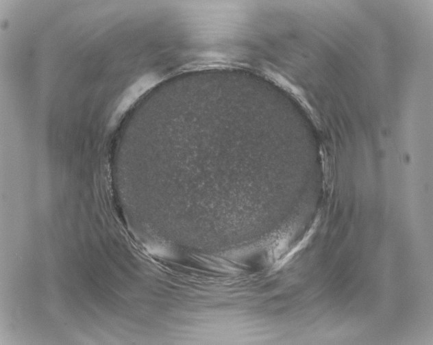 X0000070411453200606161359