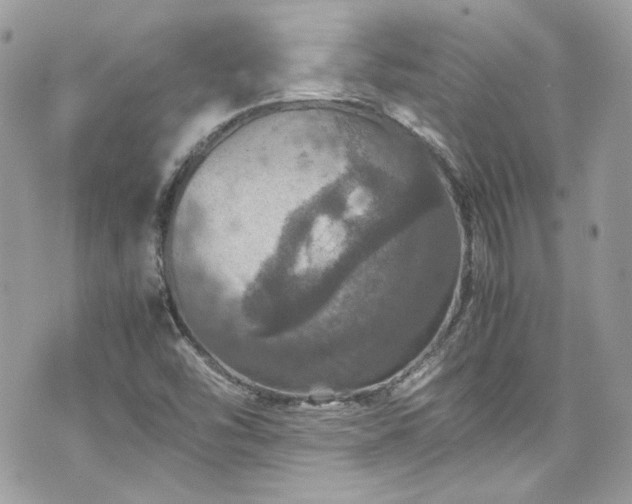 X0000070411454200606161359