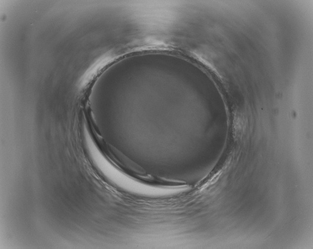 X0000070411455200606161359