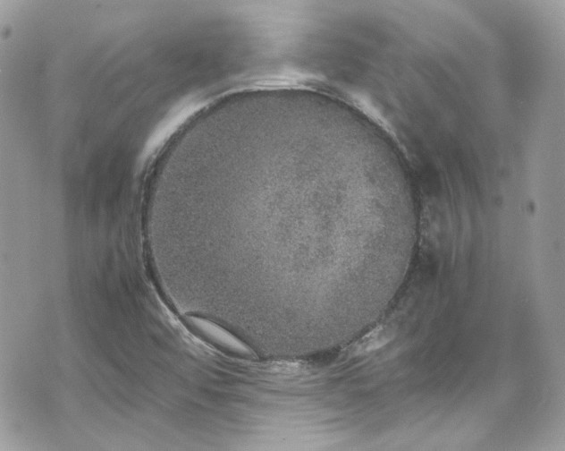 X0000070411456200606161359