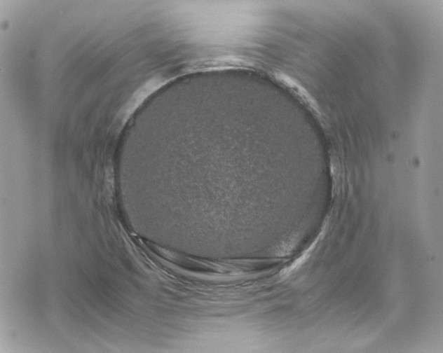 X0000070411457200606161359