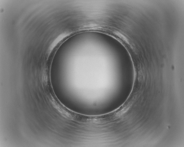 X0000070411458200606161359