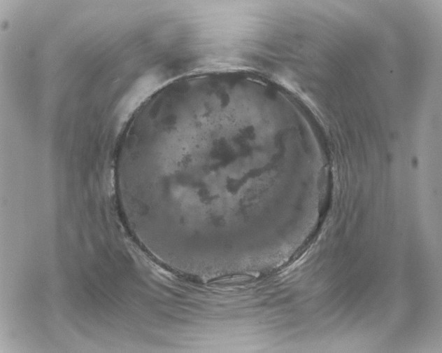 X0000070411459200606161359