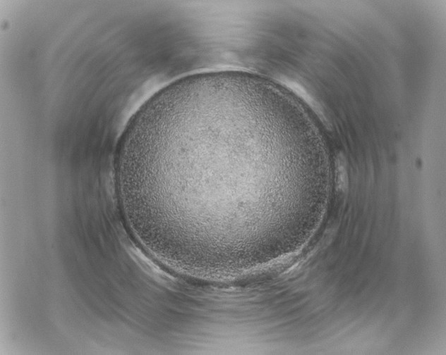 X0000070411460200606161359