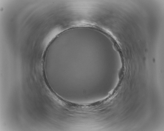 X0000070411463200606161359