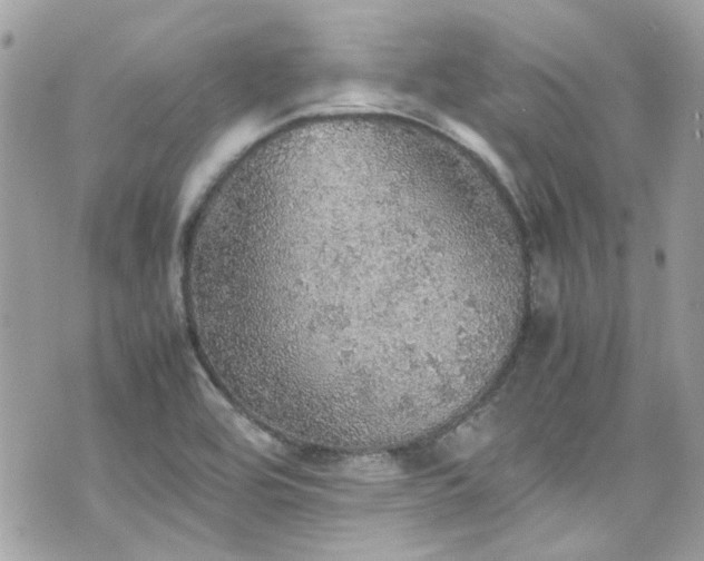 X0000070411464200606161359