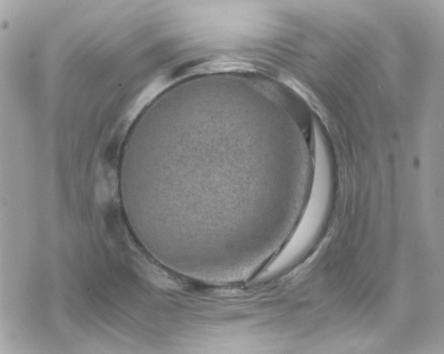 X0000070411465200606161358