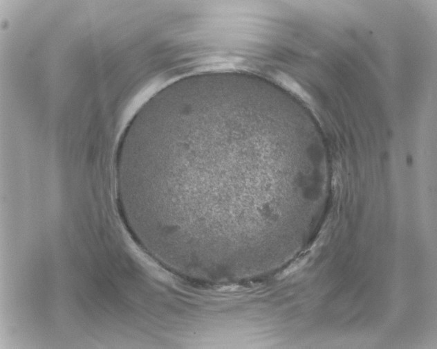 X0000070411467200606161358