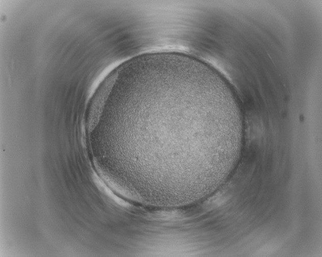 X0000070411468200606161358