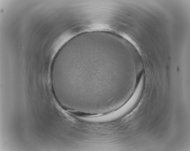 X0000070411469200606161358