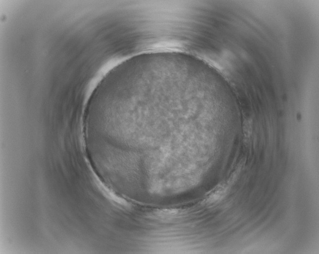 X0000070411470200606161358