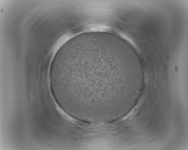 X0000070411471200606161358