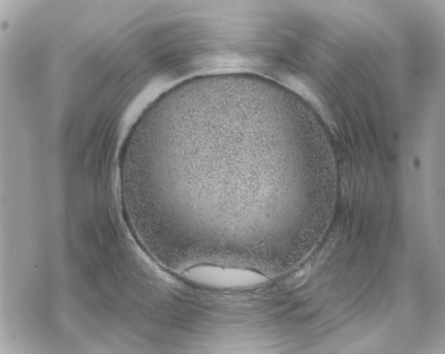 X0000070411472200606161358