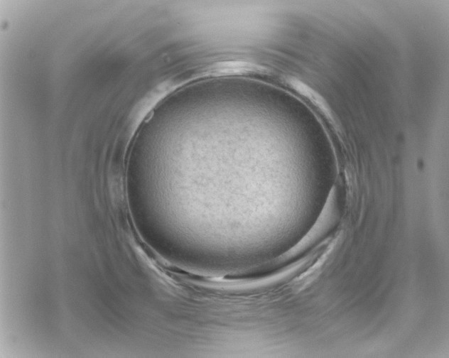 X0000070411473200606161358