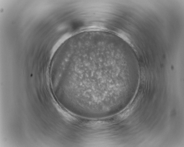 X0000070411474200606161358