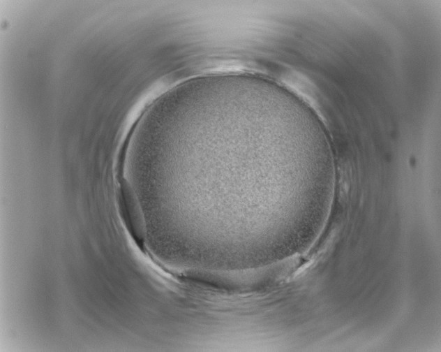 X0000070411475200606161358