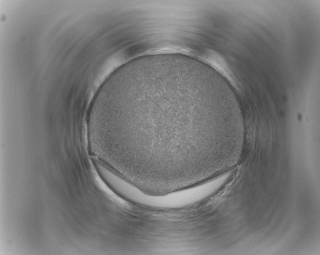 X0000070411476200606161358