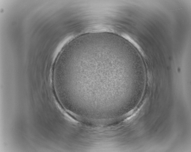 X0000070411477200606161358