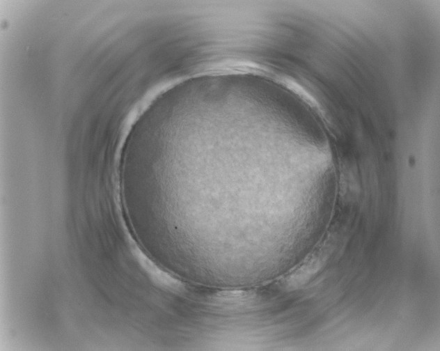 X0000070411478200606161358