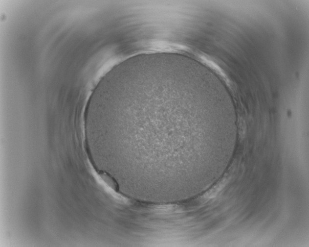 X0000070411479200606161358