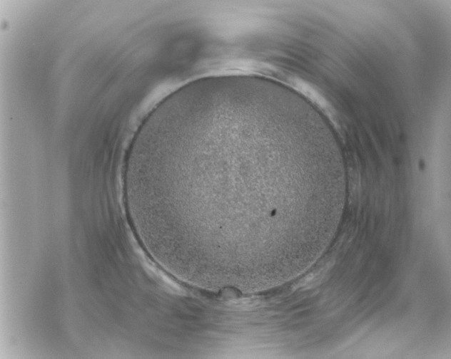 X0000070411480200606161358