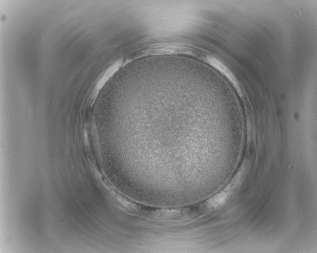 X0000070411481200606161358