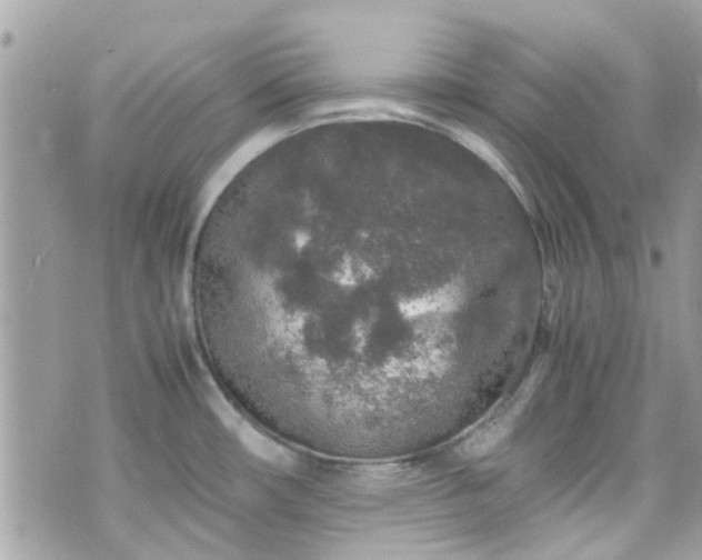 X0000070411482200606161358