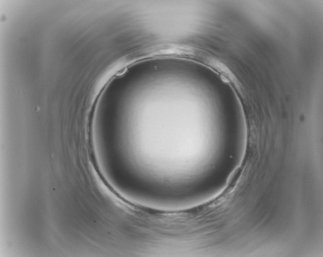 X0000070411483200606161358