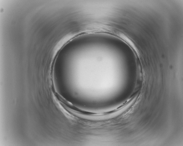 X0000070411485200606161358