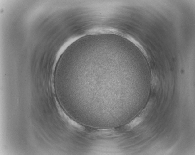 X0000070411486200606161358