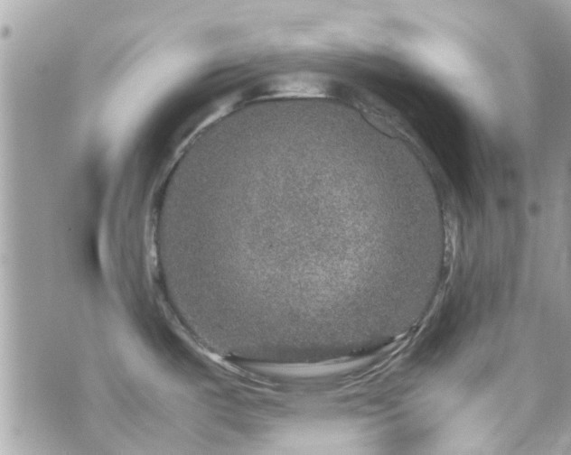 X0000070411487200606161358