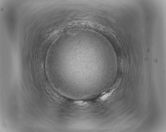 X0000070411489200606161357