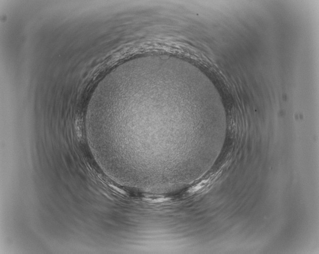 X0000070411490200606161357