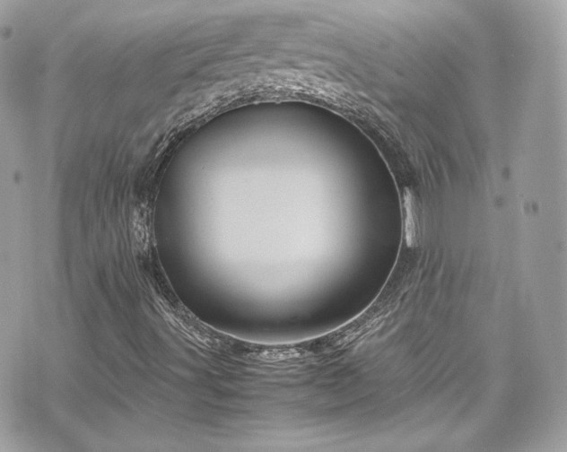 X0000070411491200606161357