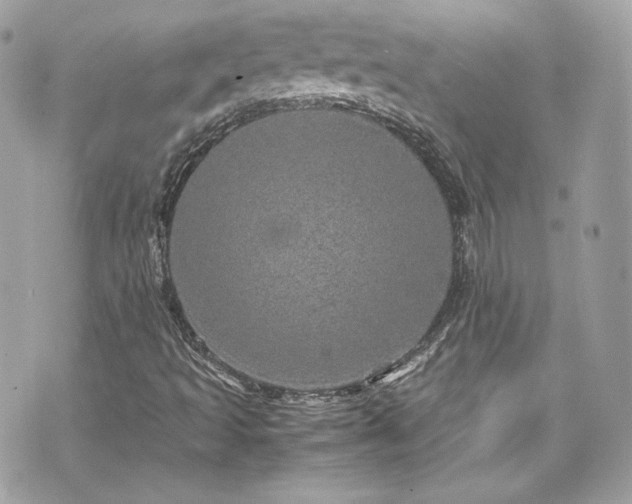 X0000070411493200606161357