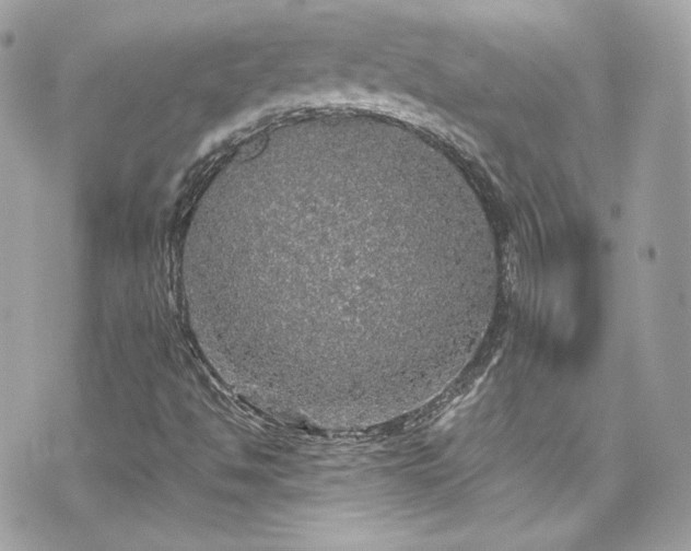 X0000070411494200606161357