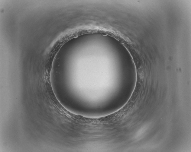 X0000070411495200606161357