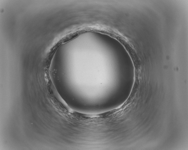 X0000070411496200606161357