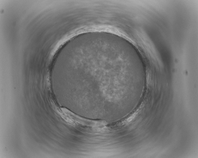 X0000070411498200606161357