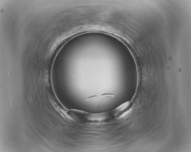 X0000070411499200606161358