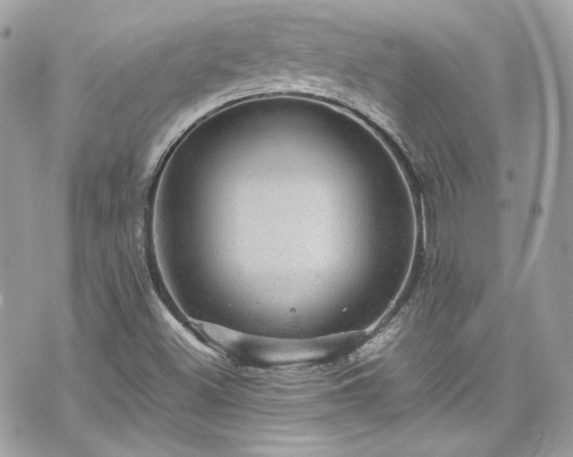 X0000070411500200606161358