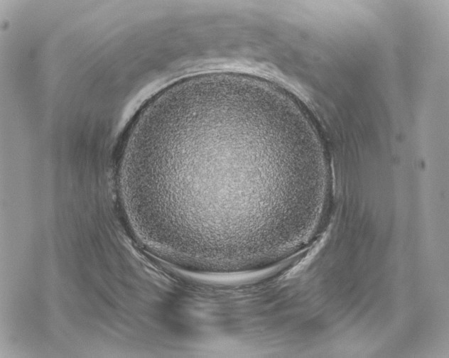 X0000070411501200606161358