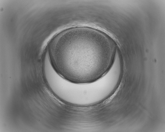 X0000070411502200606161358