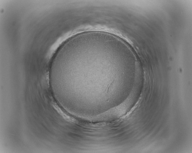 X0000070411503200606161358