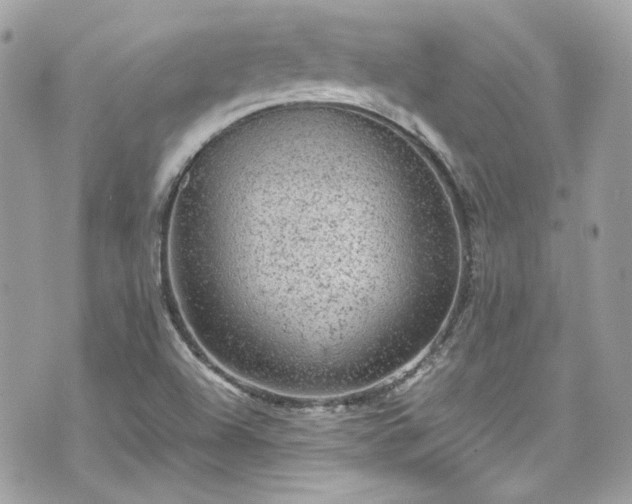 X0000070411504200606161358