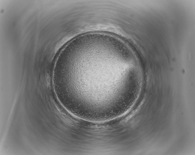 X0000070411505200606161358