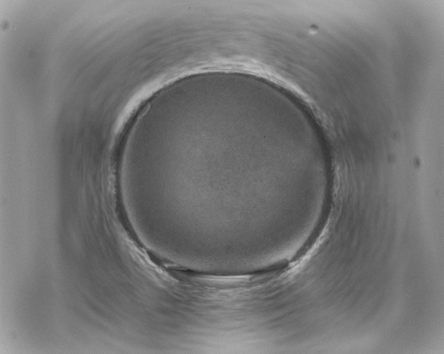 X0000070411506200606161358