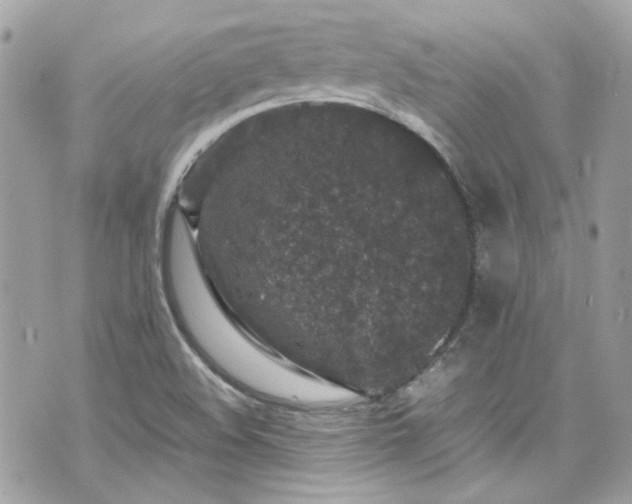 X0000070411508200606161358