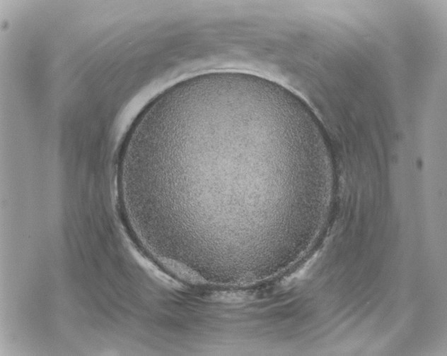 X0000070411511200606161358