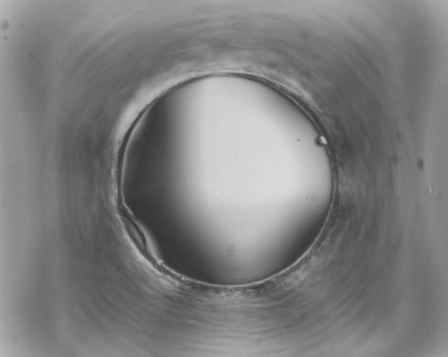 X0000070411512200606161358